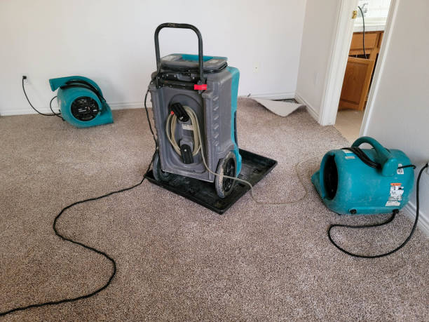 Best Water damage contractors near me  in Fairfield Bay, AR