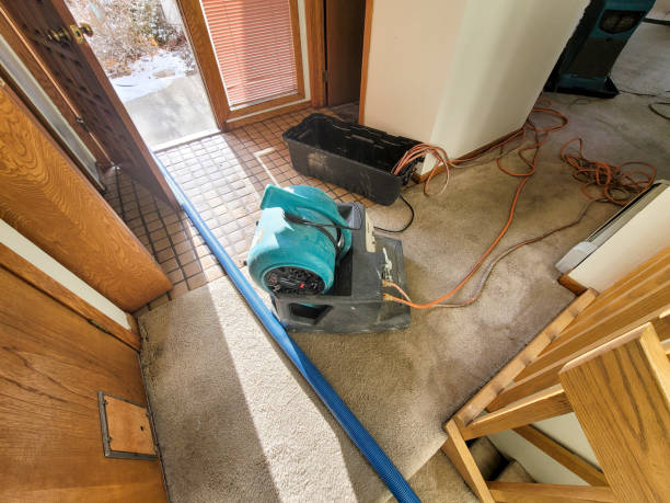 Best Basement water damage restoration  in Fairfield Bay, AR