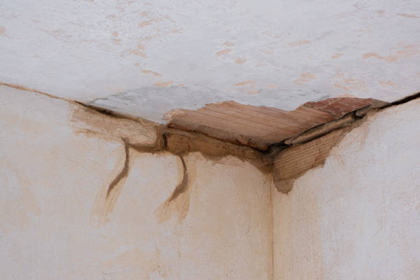 Best 24-hour water damage restoration  in Fairfield Bay, AR