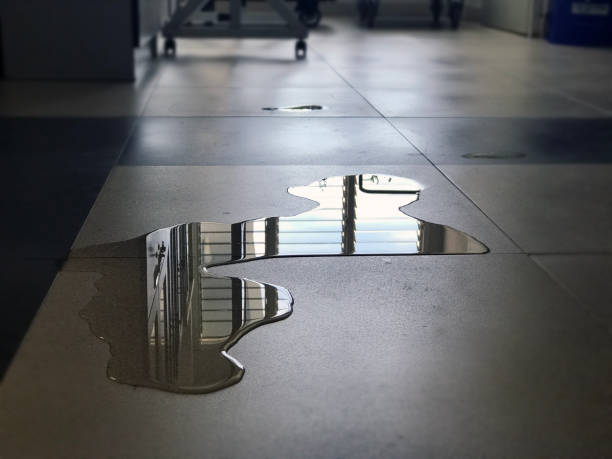 Best Commercial water damage restoration  in Fairfield Bay, AR