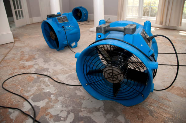 Best Residential water damage restoration  in Fairfield Bay, AR