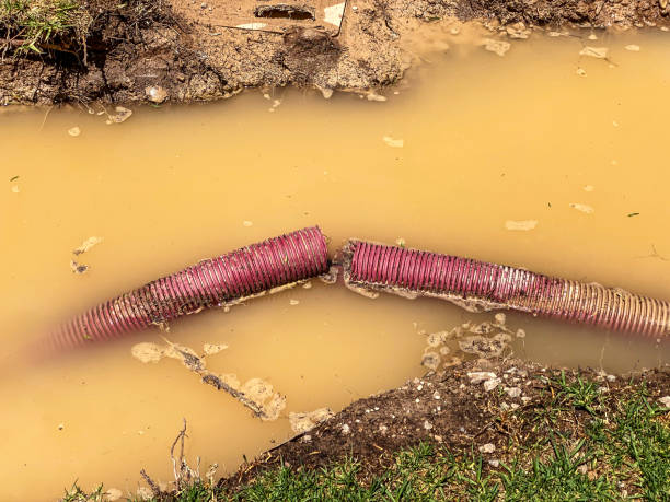 Best Water damage restoration near me  in Fairfield Bay, AR